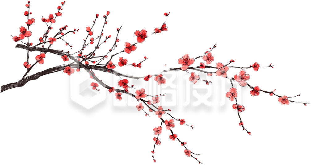 手绘腊梅树枝