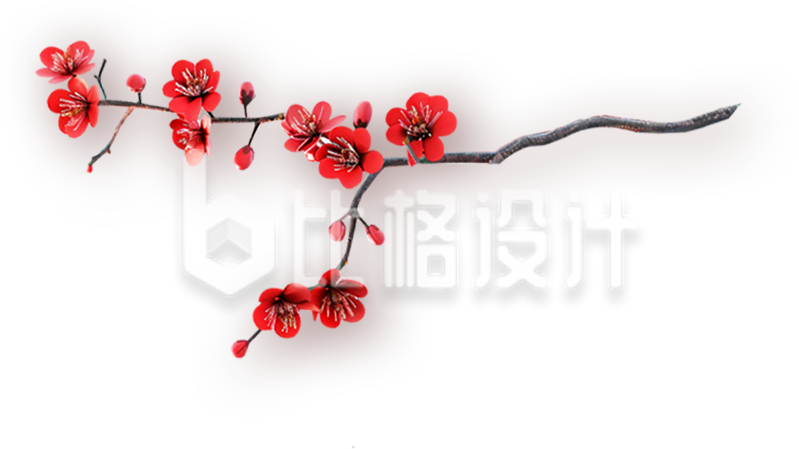 一支红色梅花实景