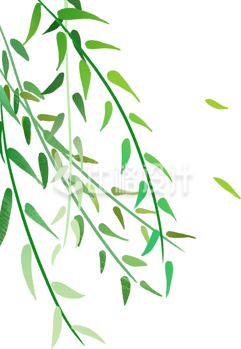 绿色柳条