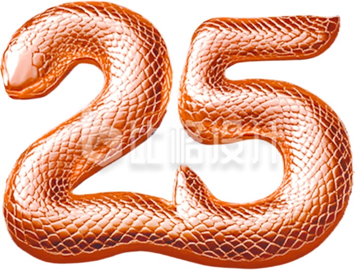 蛇年数字25