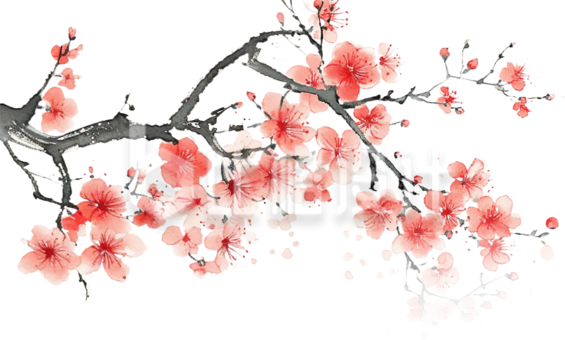 一枝梅花