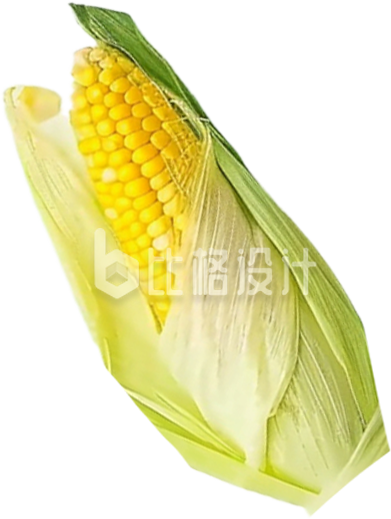 玉米食物实景