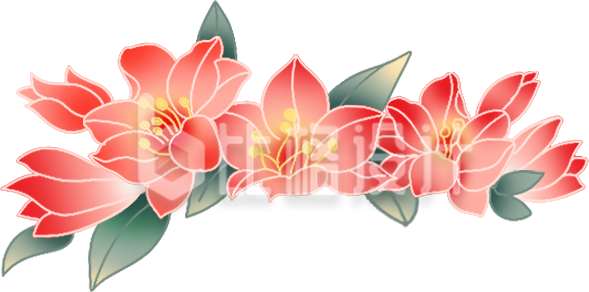 花朵花卉