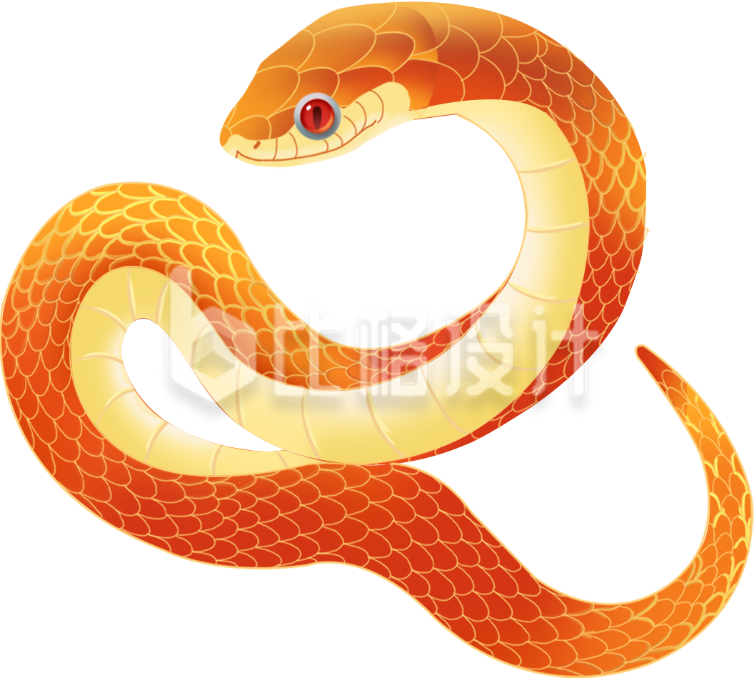 蛇手绘插画