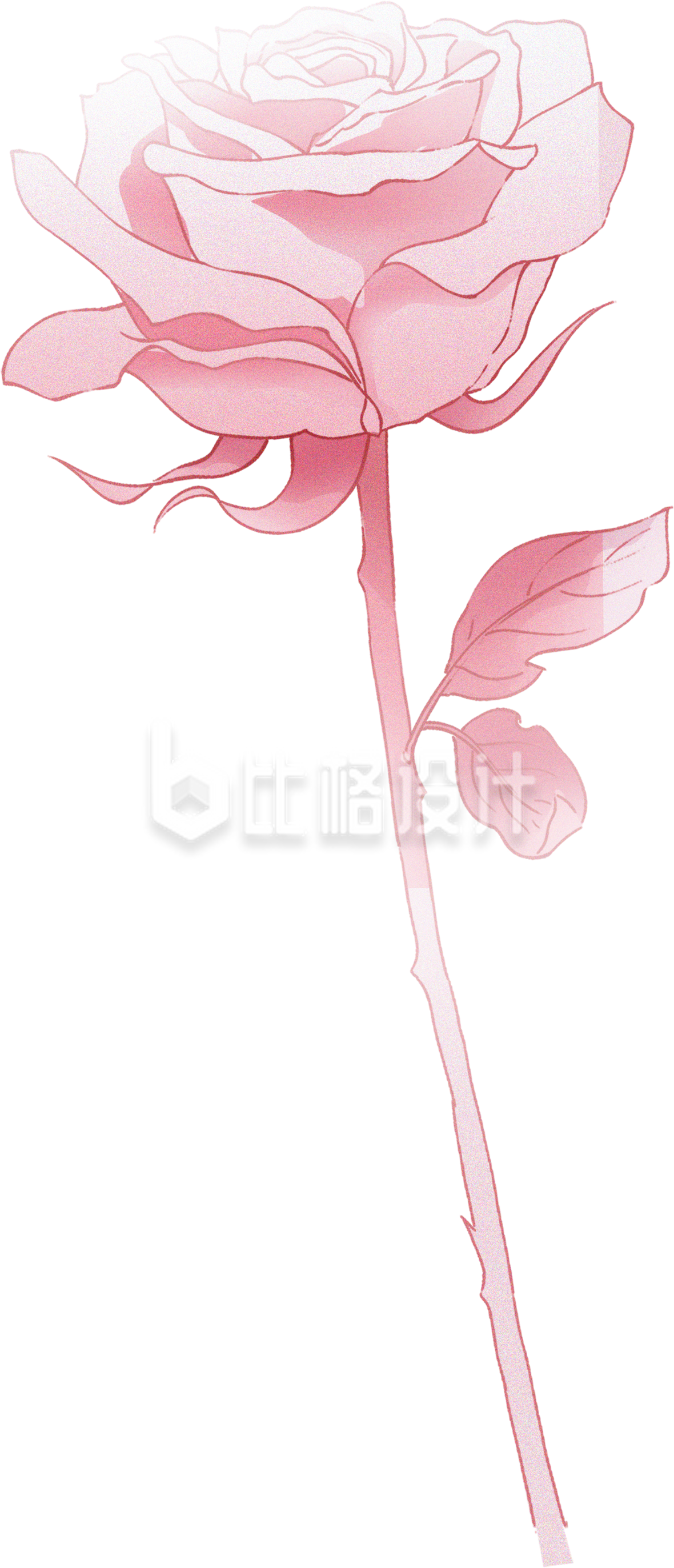 一支粉色玫瑰花