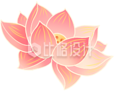 粉色荷花