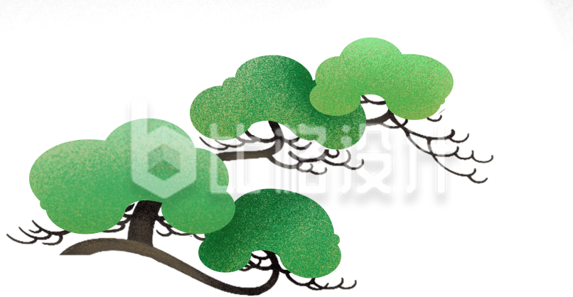松柏树枝