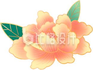 花朵手绘
