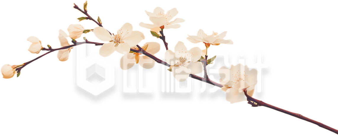 一枝白色桃花