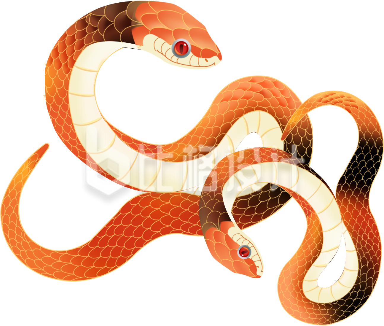 蛇手绘插画