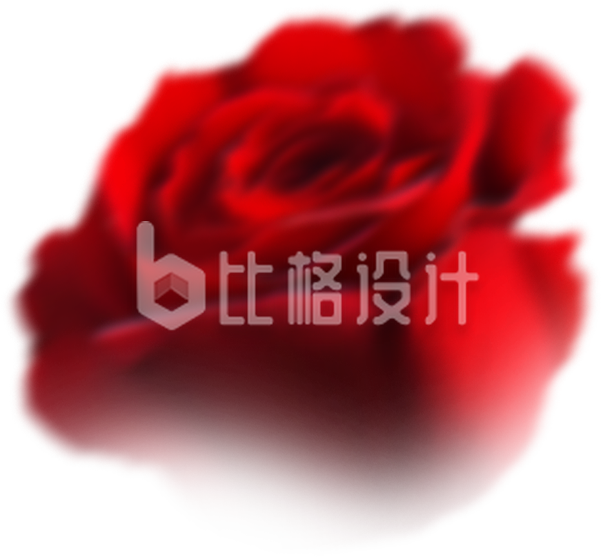 红色玫瑰花