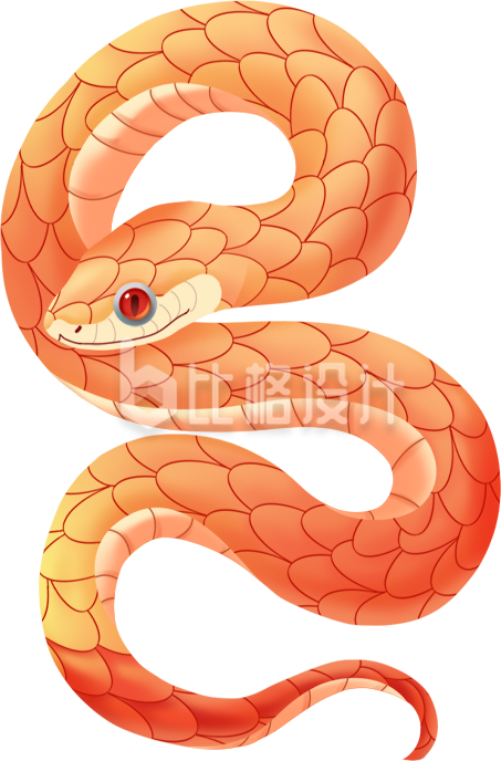 蛇手绘插画