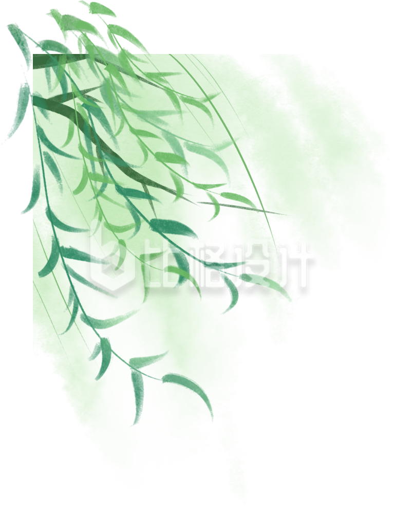 春天柳条树枝