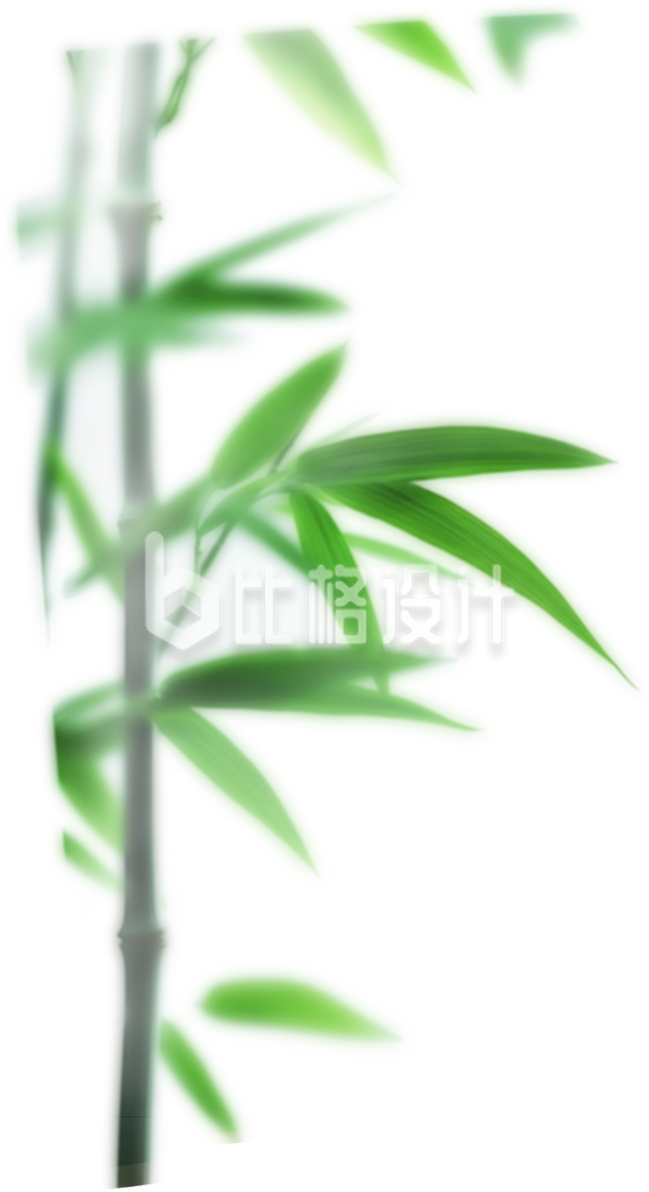 手绘竹子竹叶