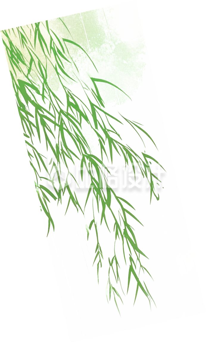 绿色柳条