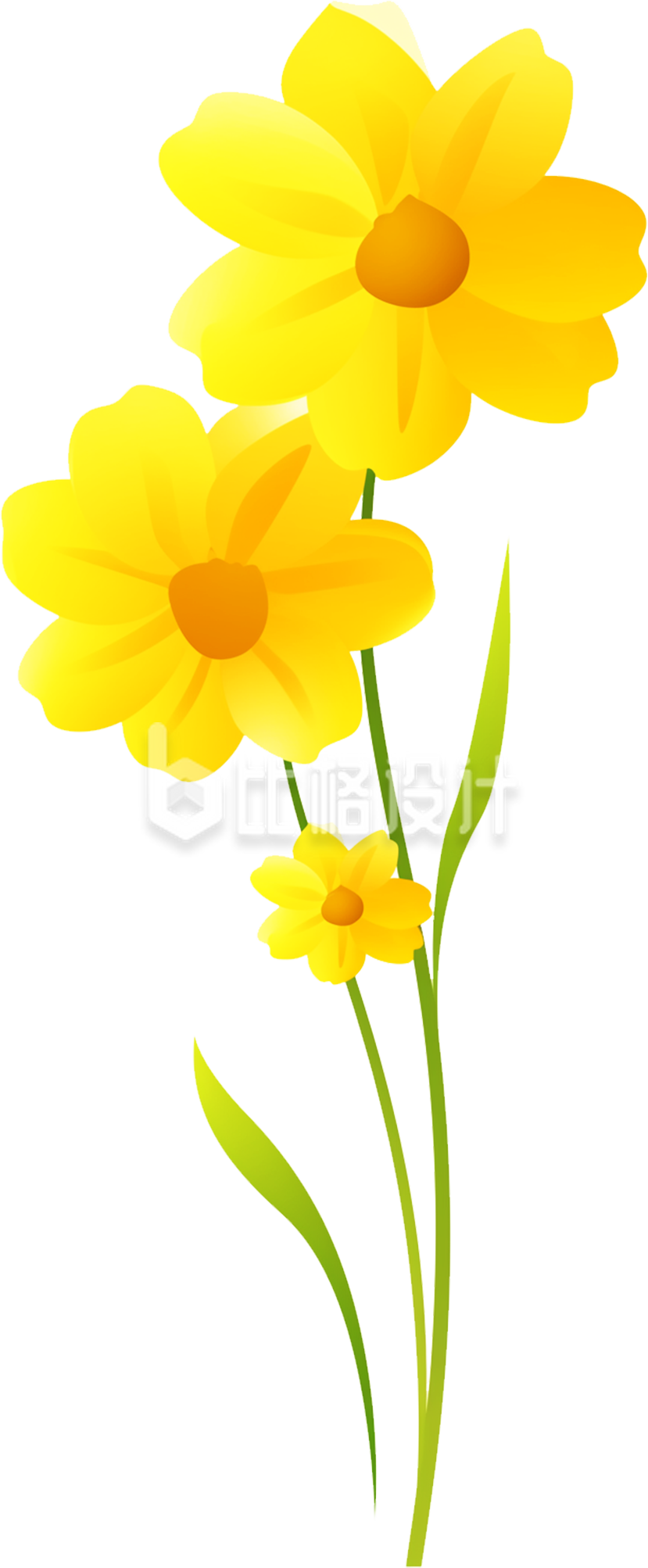 一束小黄花 一束小黄花