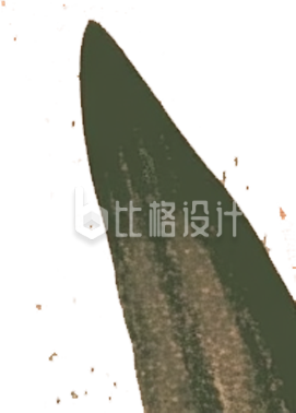 树叶 树叶