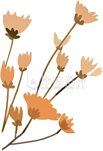 一束小花草 一束小花草