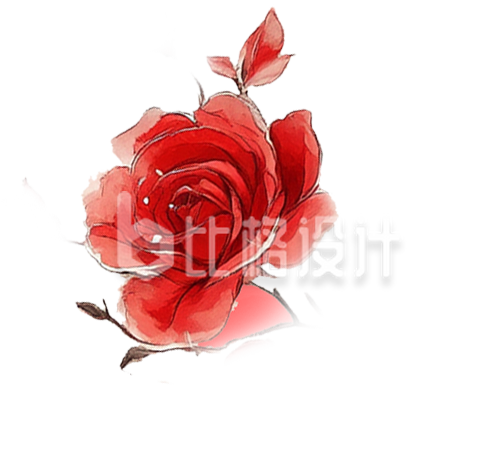 手绘红色玫瑰花 手绘红色玫瑰花