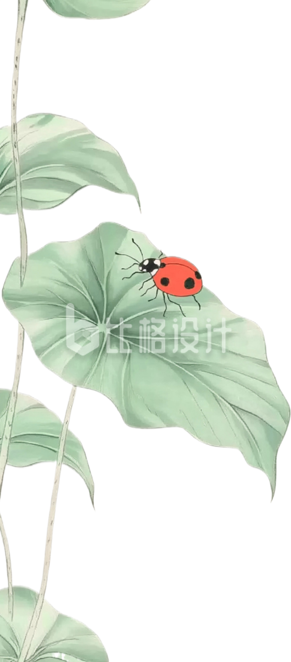 树叶昆虫