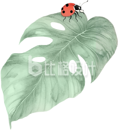 树叶昆虫