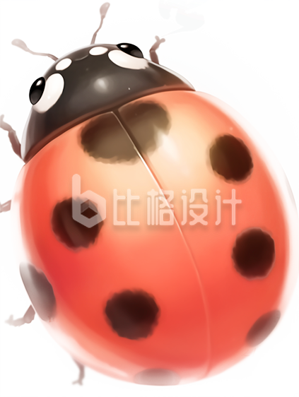 七星瓢虫