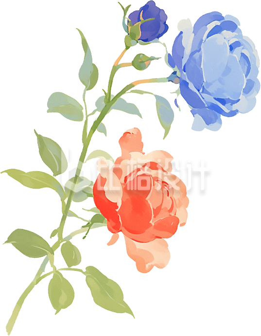 一枝玫瑰花