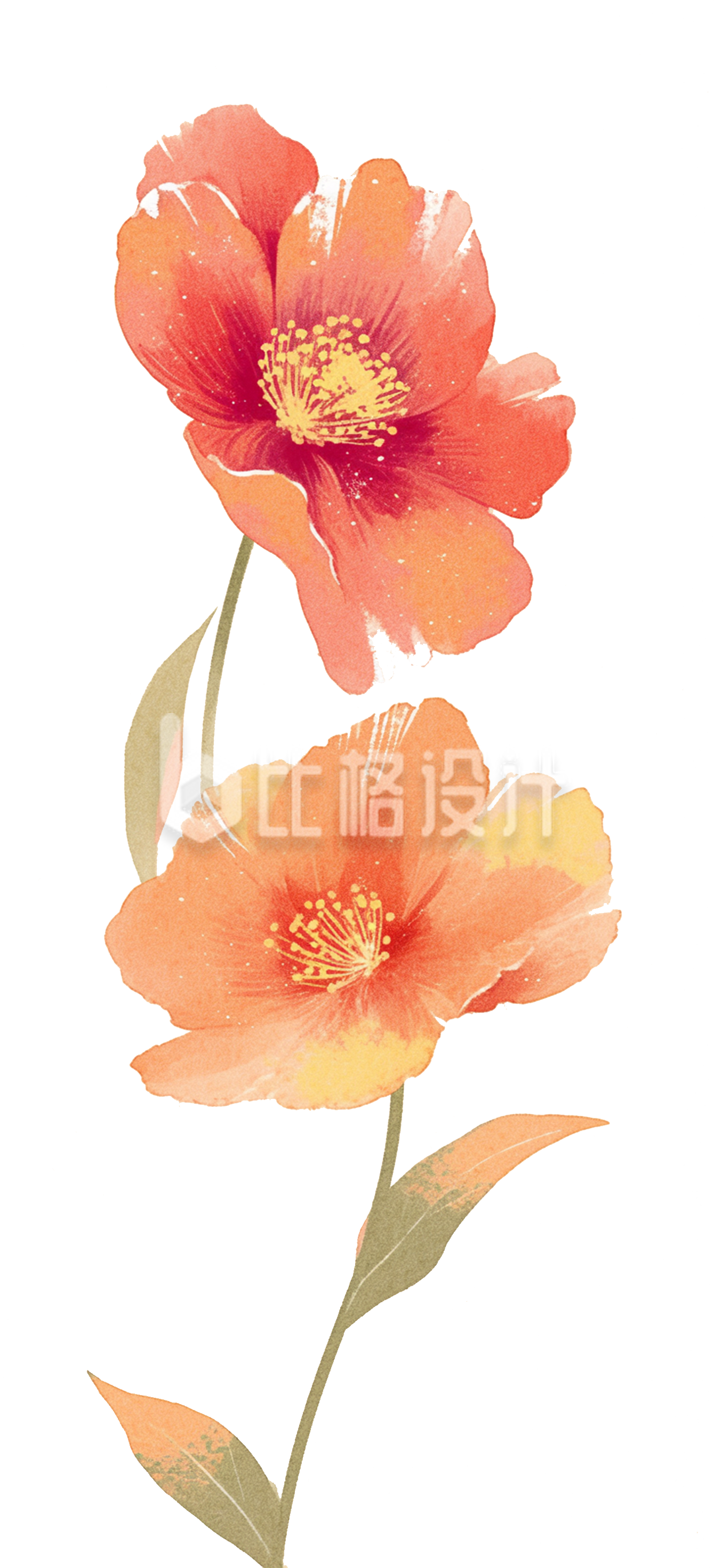 两只花