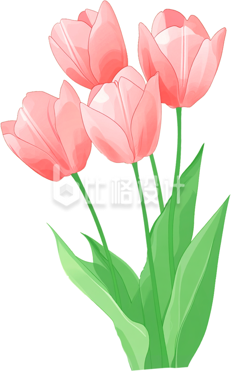 手绘粉色郁金香