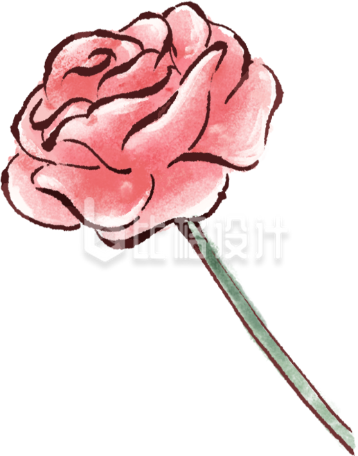 玫瑰花