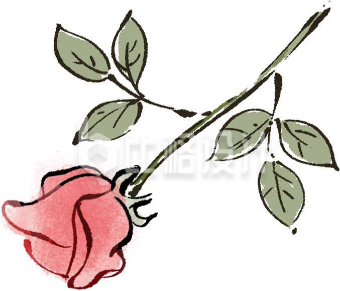 玫瑰花
