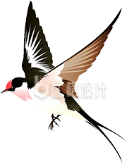 一只燕子