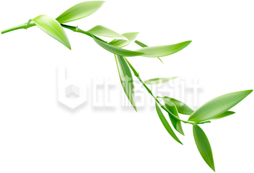 绿色竹叶3D植物