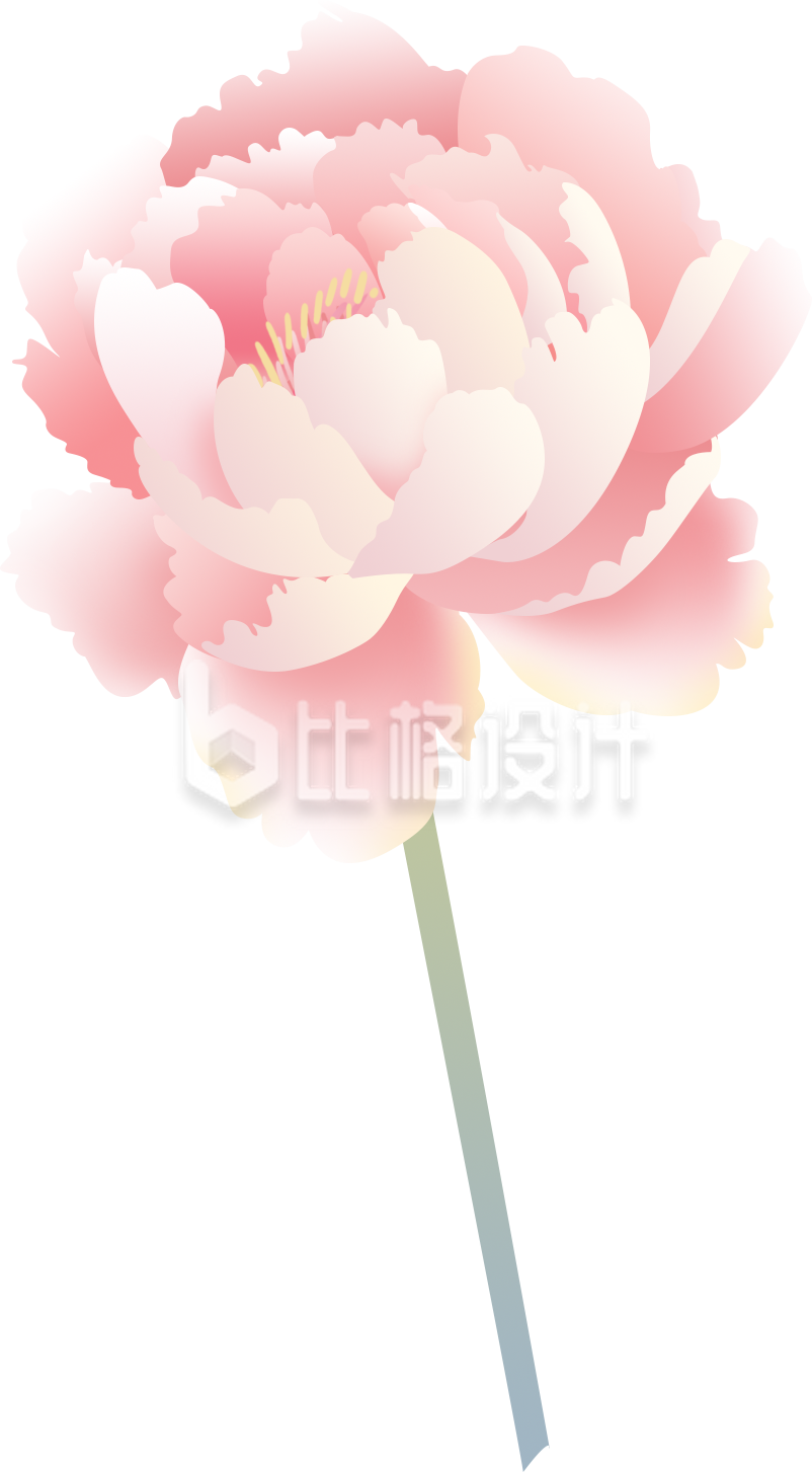 鲜花花朵手绘