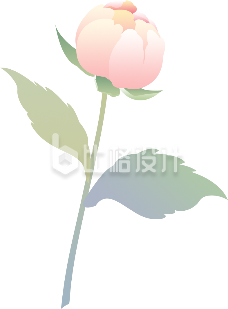 鲜花花朵手绘
