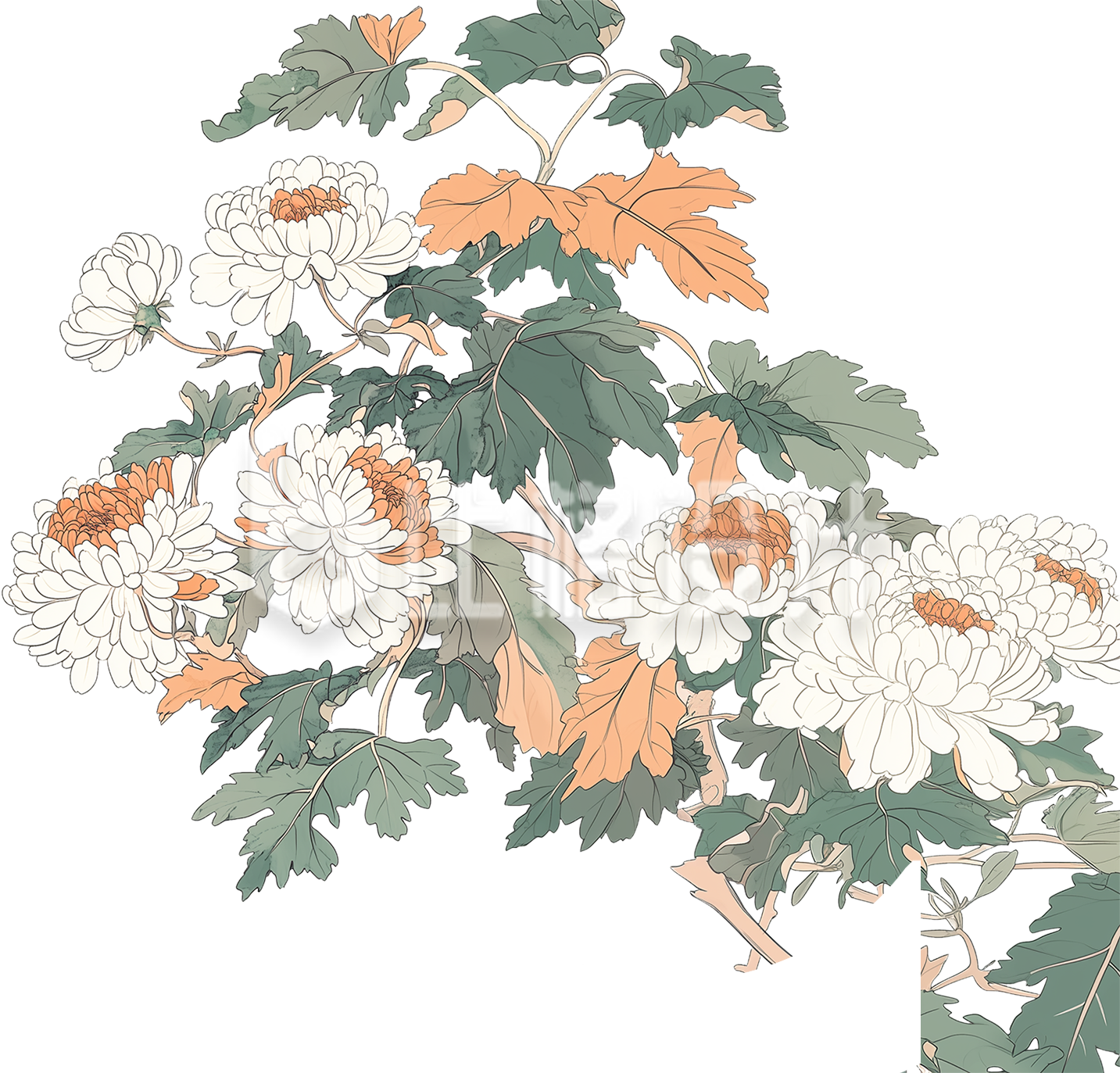 一簇菊花