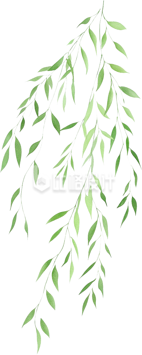 柳条