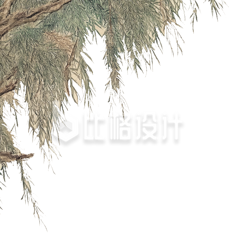 柳树