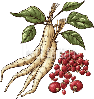 中药材