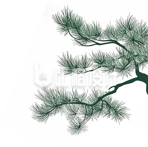 松树