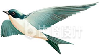手绘鸟