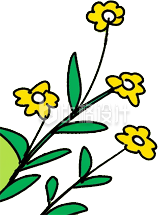 一束小花