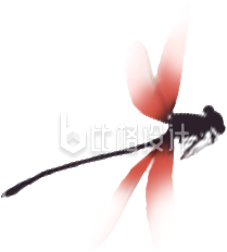 蜻蜓