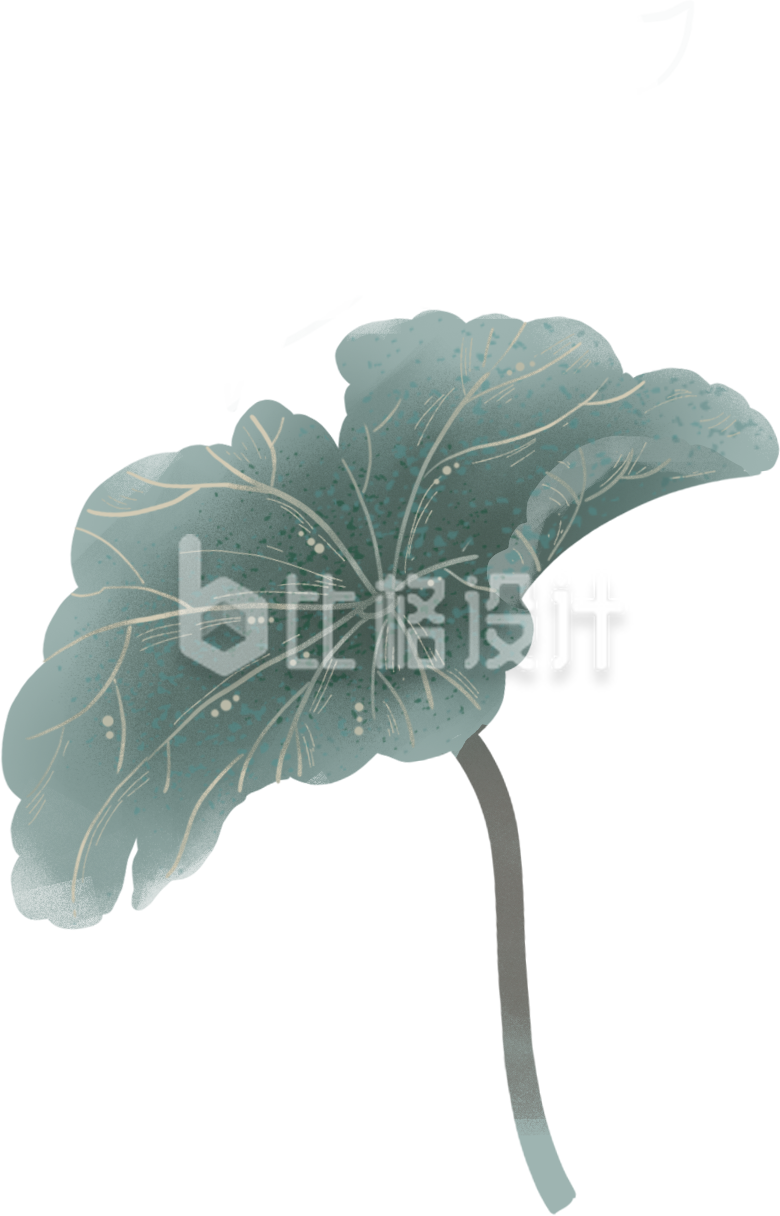 荷叶手绘