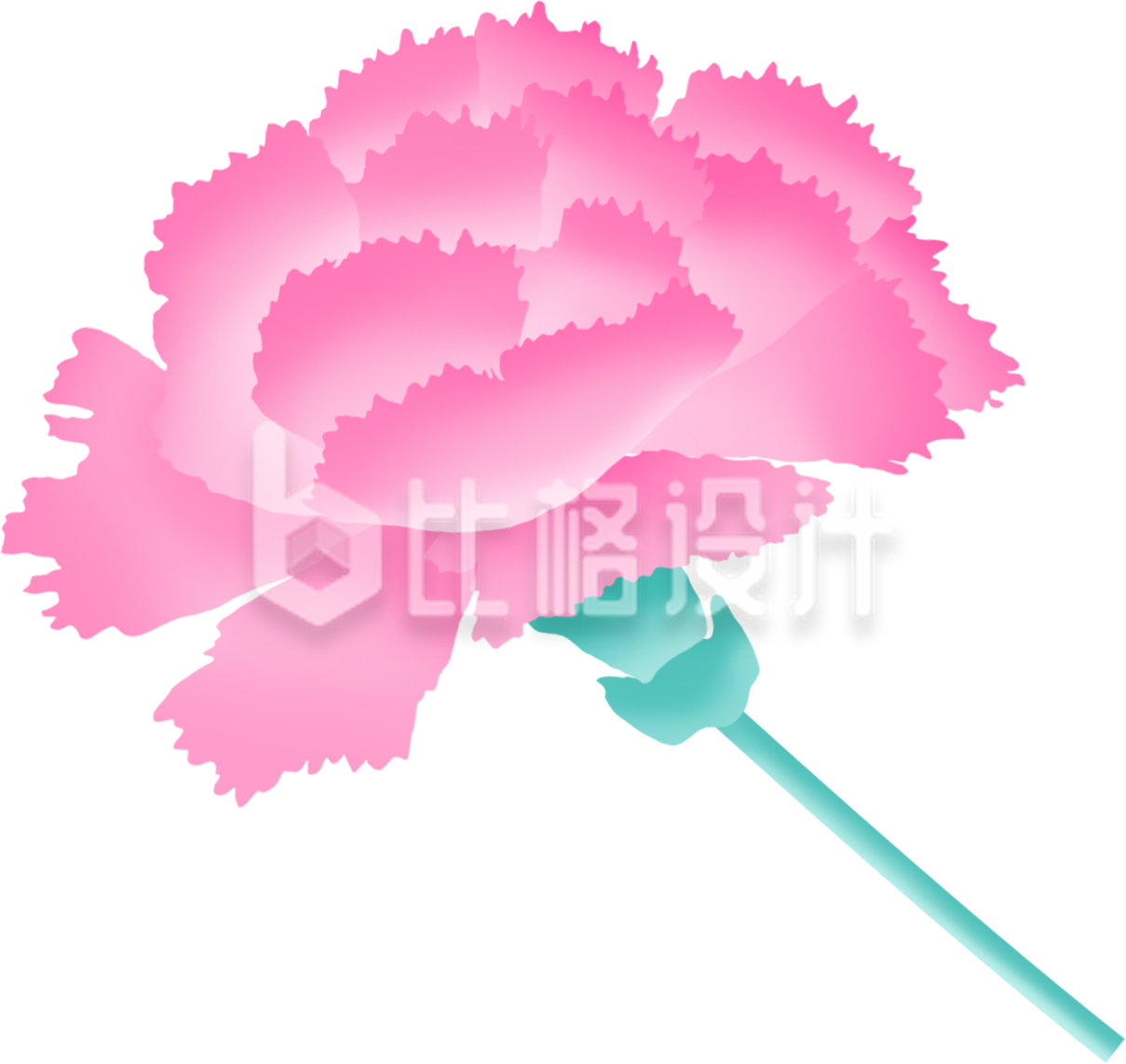 康乃馨鲜花手绘插画