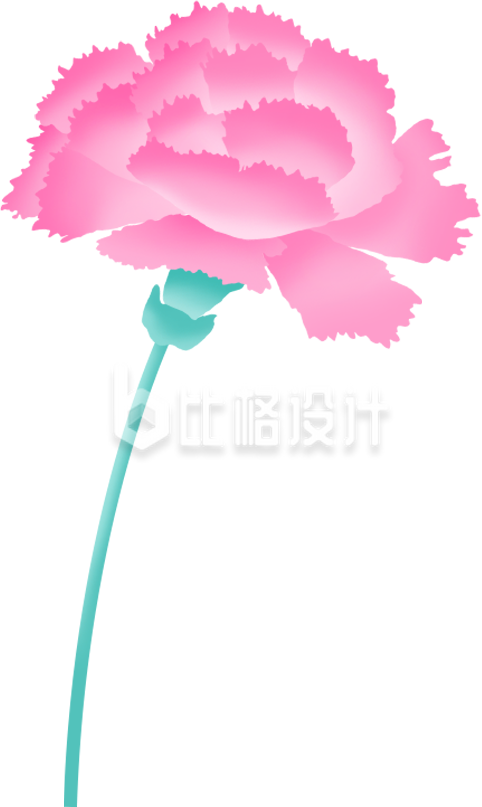 康乃馨鲜花手绘插画