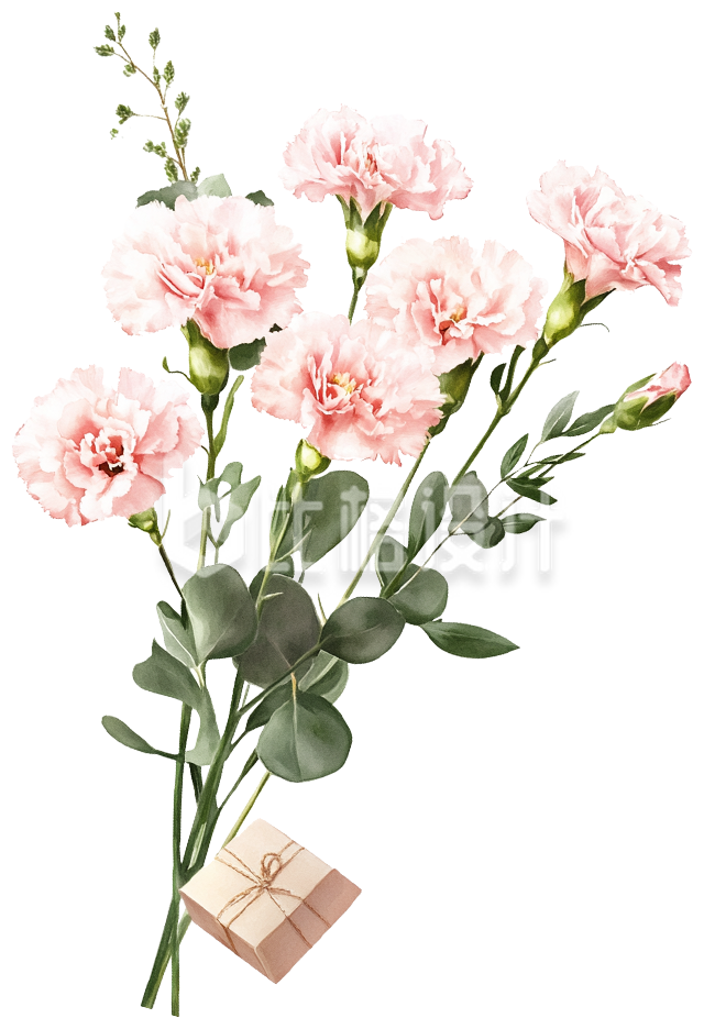 一束粉色康乃馨鲜花