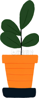 手绘盆栽植物