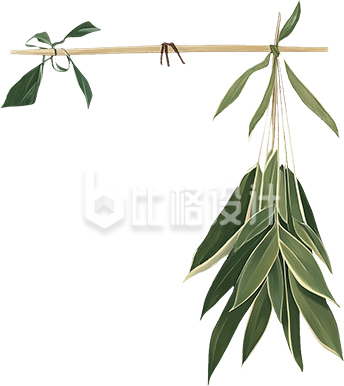 端午节粽叶