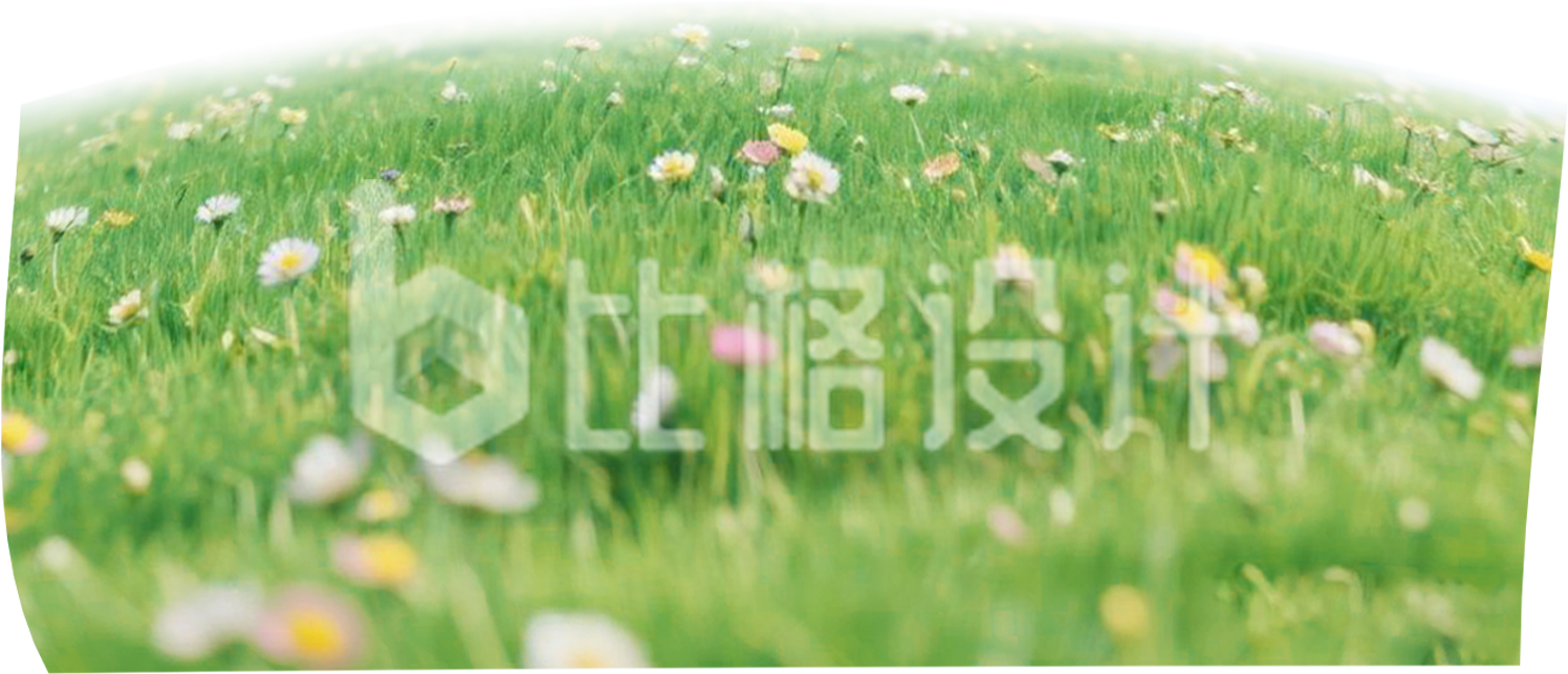 绿色草地